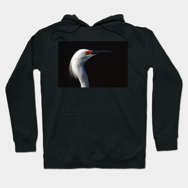 Snowy Egret Hoodie by Jim Cumming